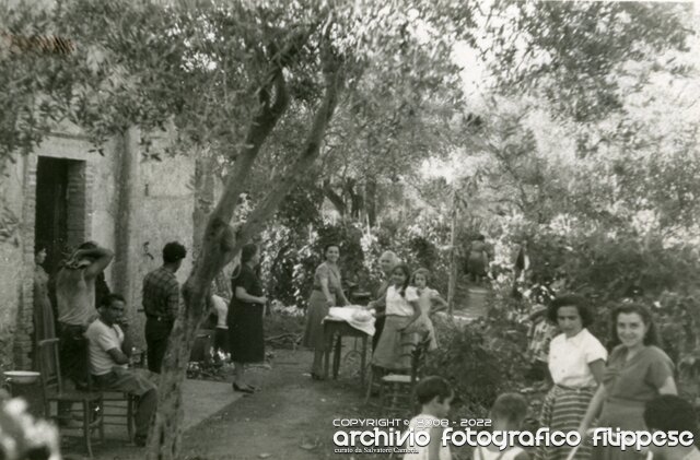 vendemmia-Cattafi-1950